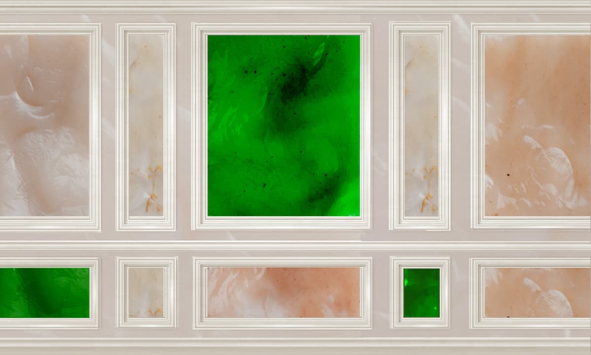 Wall paneling with algae, Studio Samira Boon