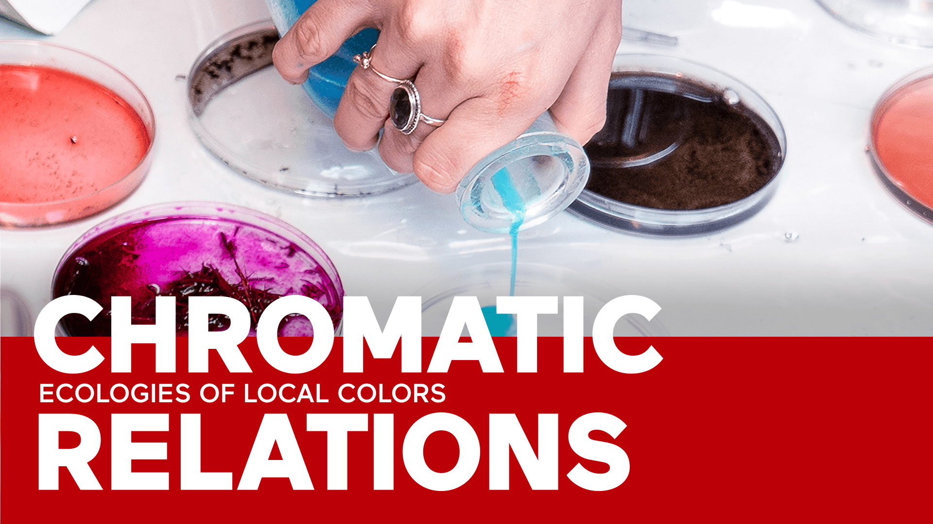 local-color-chromatic-relations-web-banner-alt
