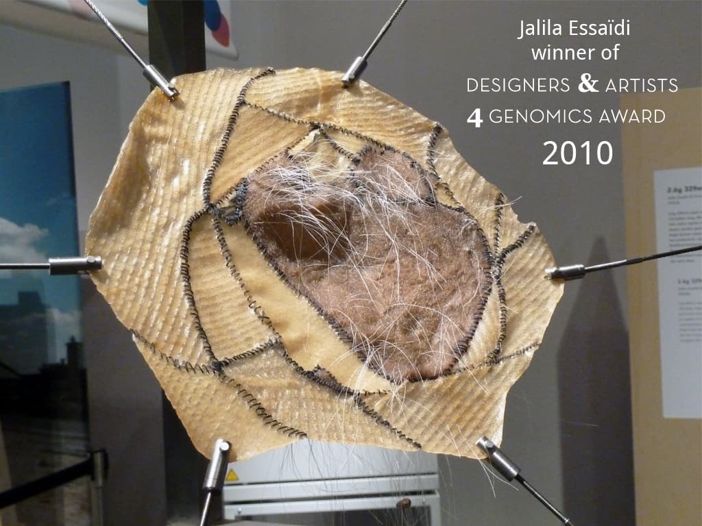 DA4GA winnaar 2010: Jalila Essaïdi