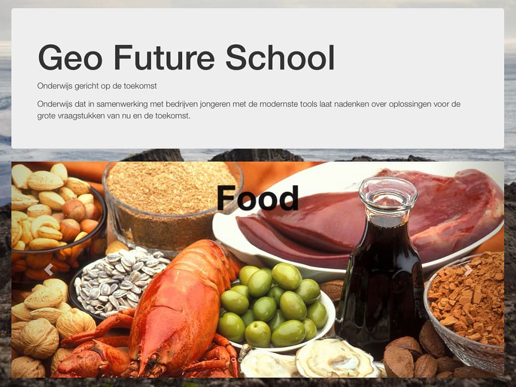 Geo Future School