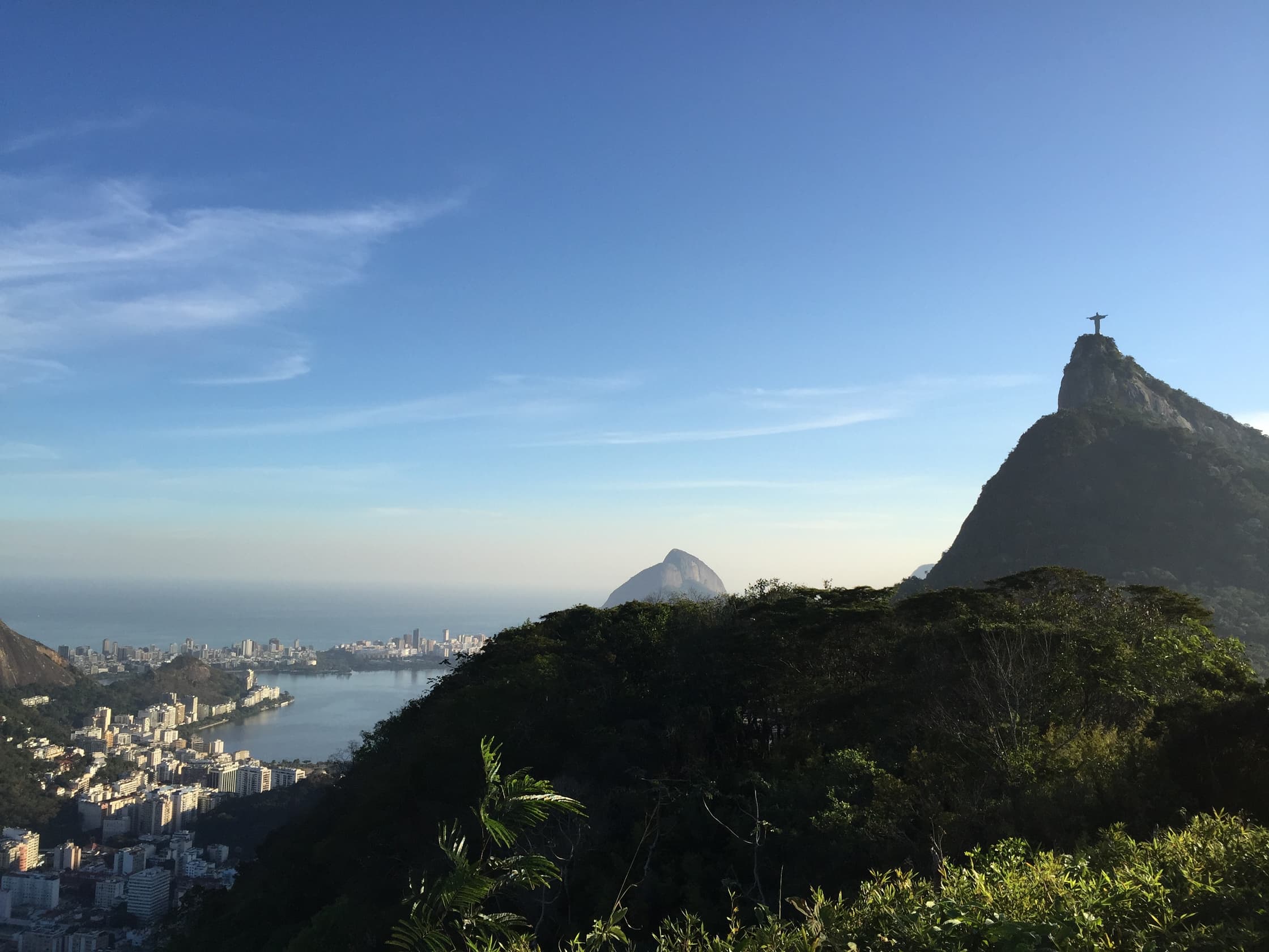 PICNIC Brasil