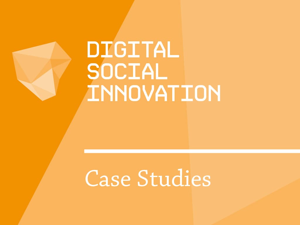 DSI Interim report - Case Studies