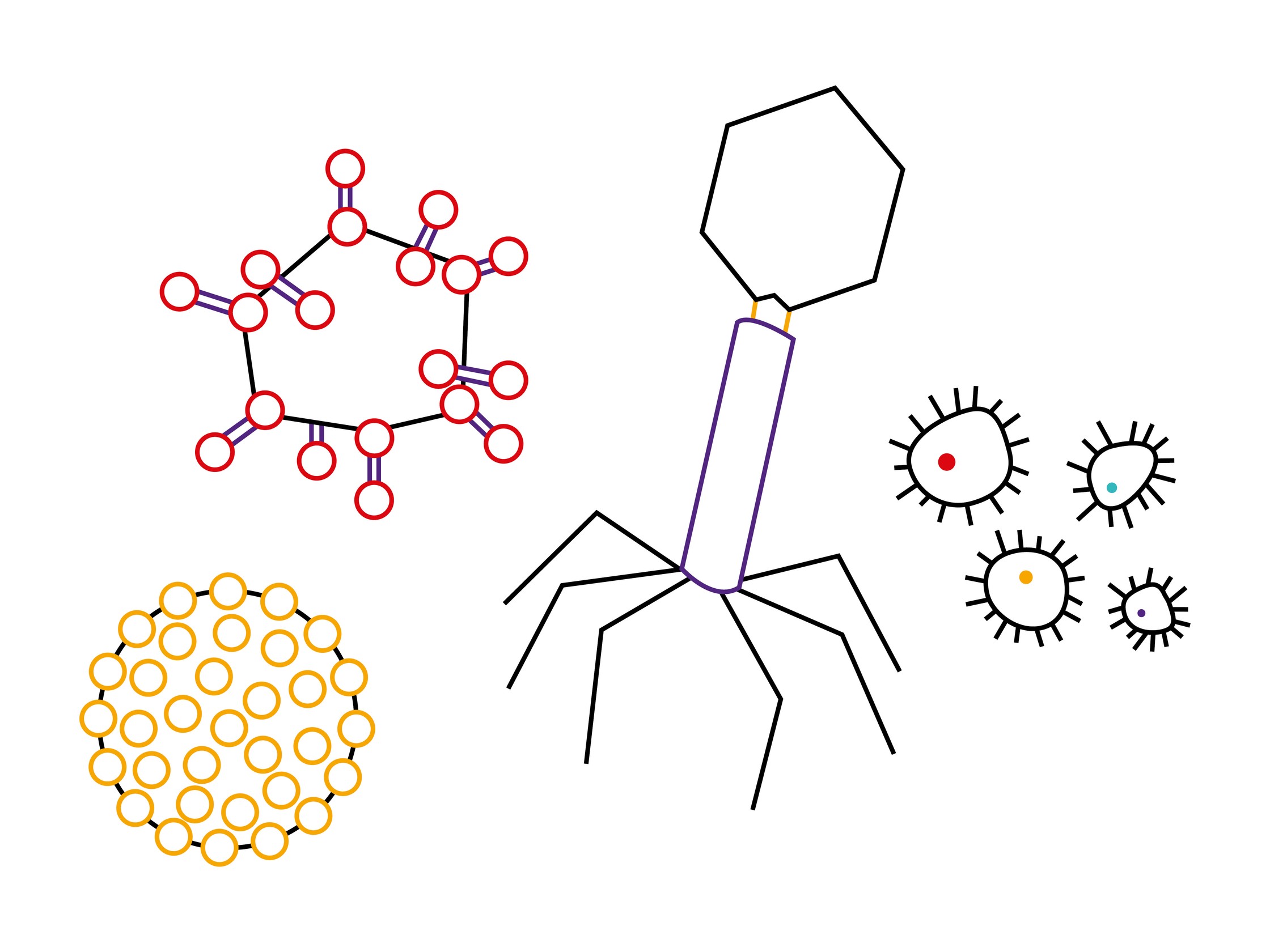 Viruses biolab visual