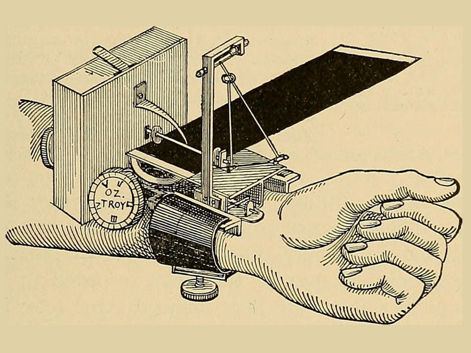 A text-book of physiology: for medical students and physicians (1916)