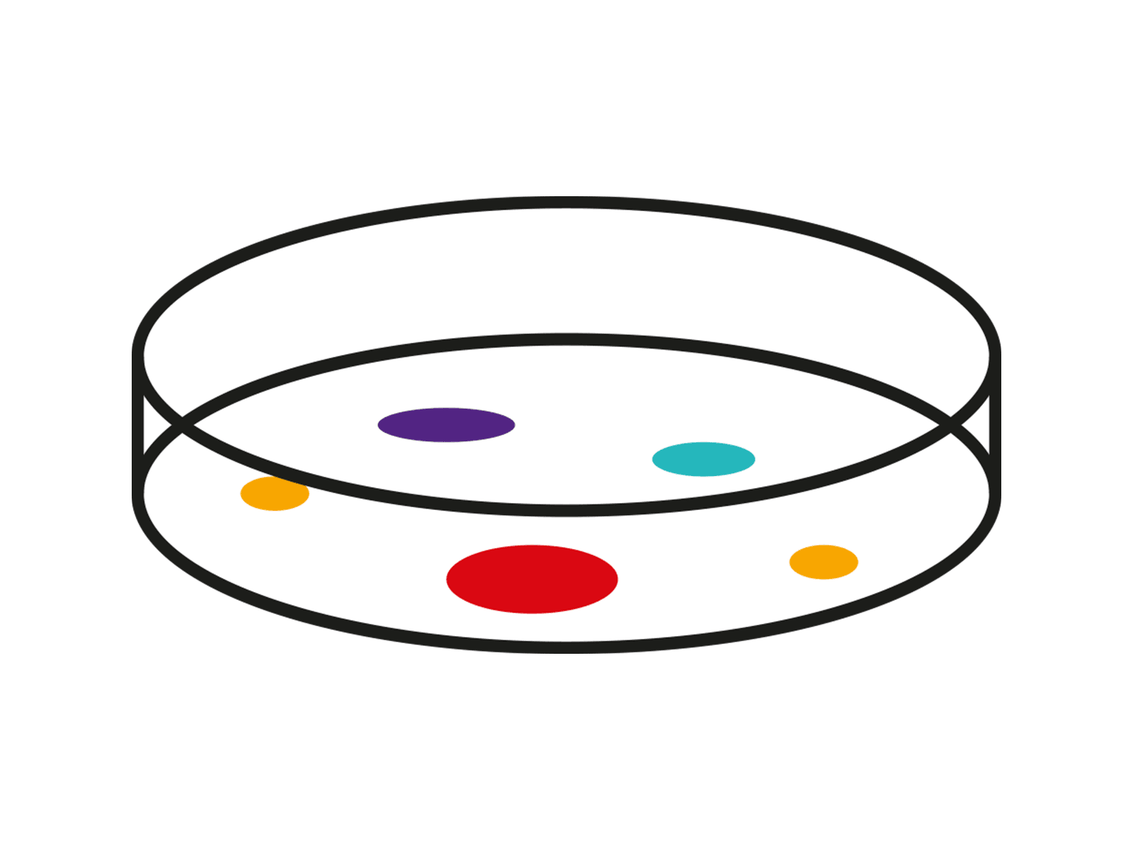 Petri dish visual
