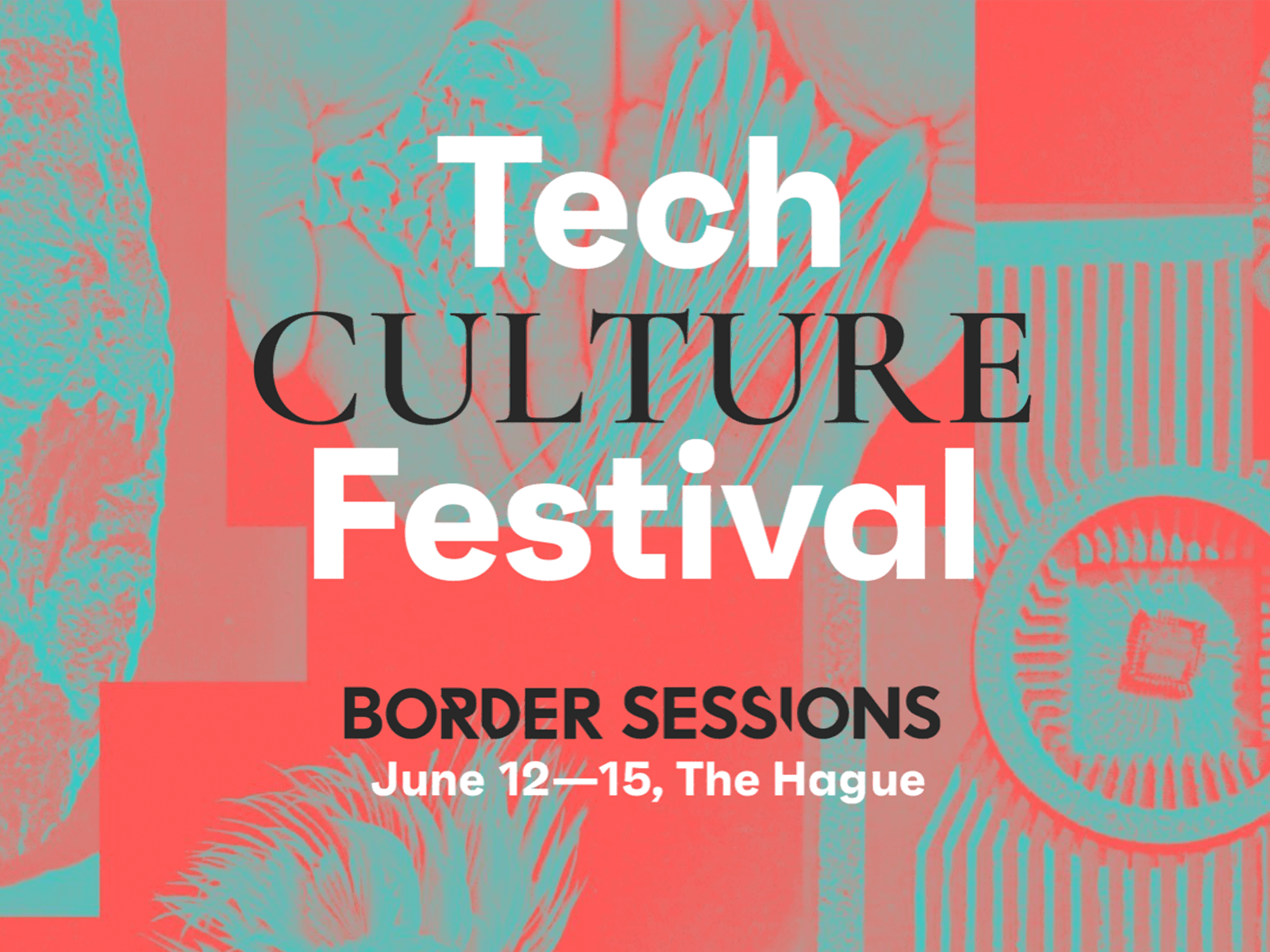 Border Sessions 2019