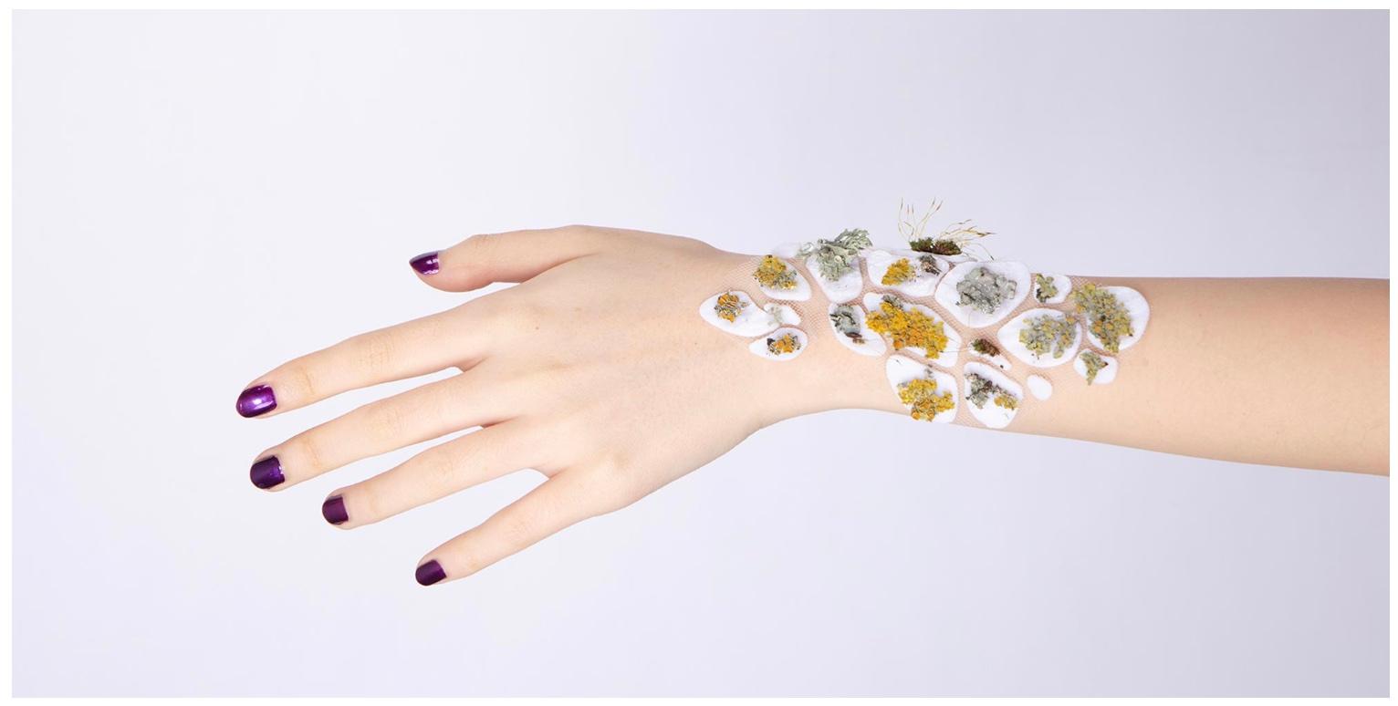 Project Habitate - Yuning Chan (CN), Yishan Qin (CN), Tom Hartley (UK)