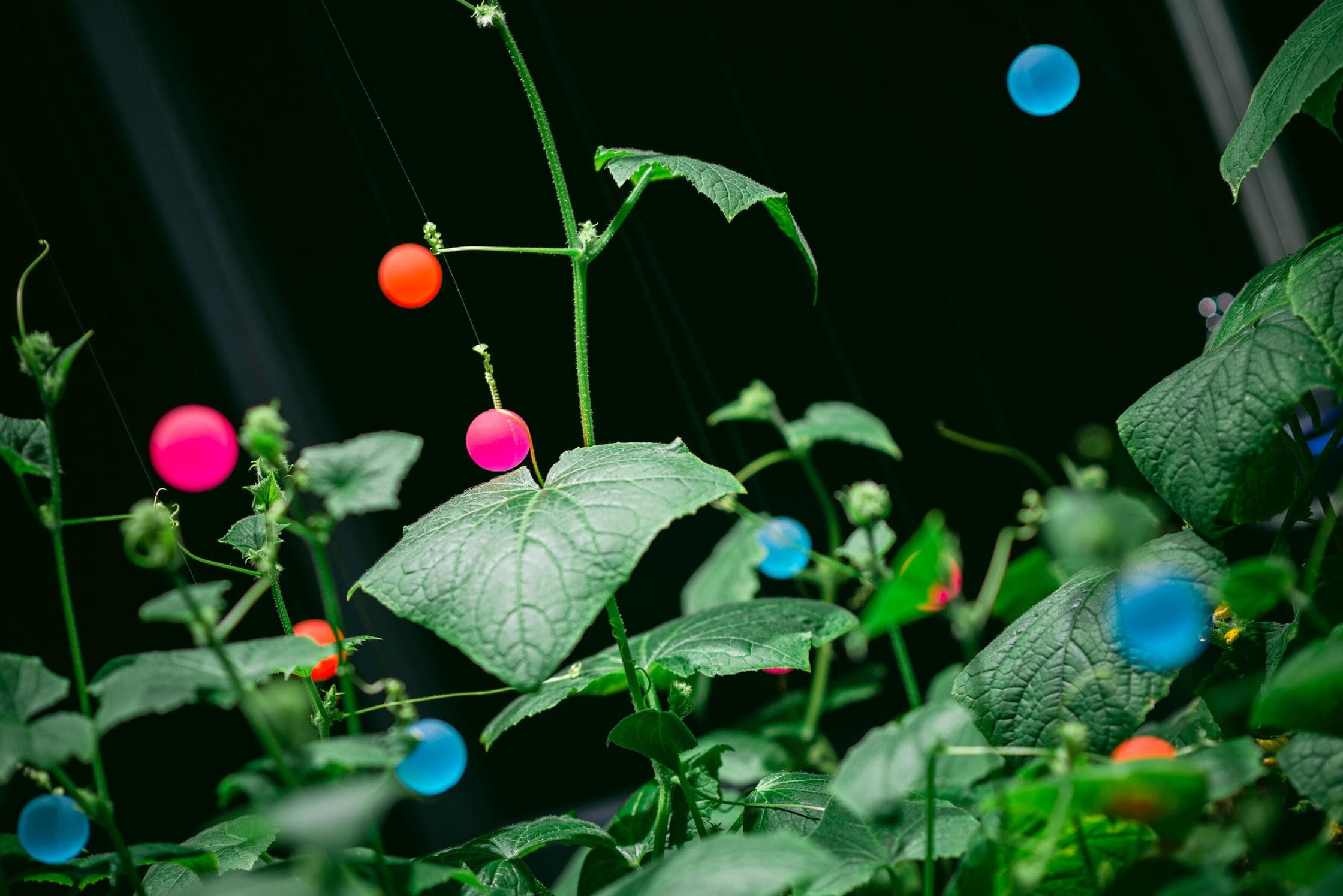 PL'AI Spela Petric, de Staat van het Internet, Waag 2023