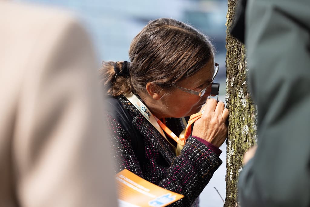 Burgerwetenschapper onderzoekt korstmos op een boom