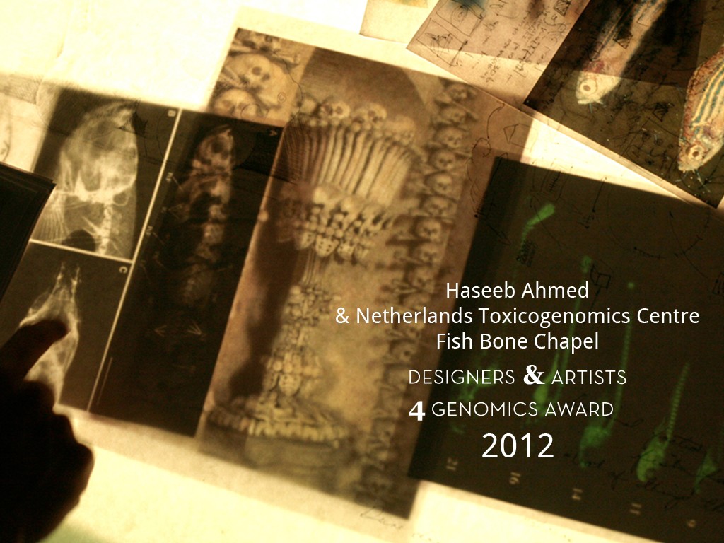 Fish Bone Chapel DA4GA 2012