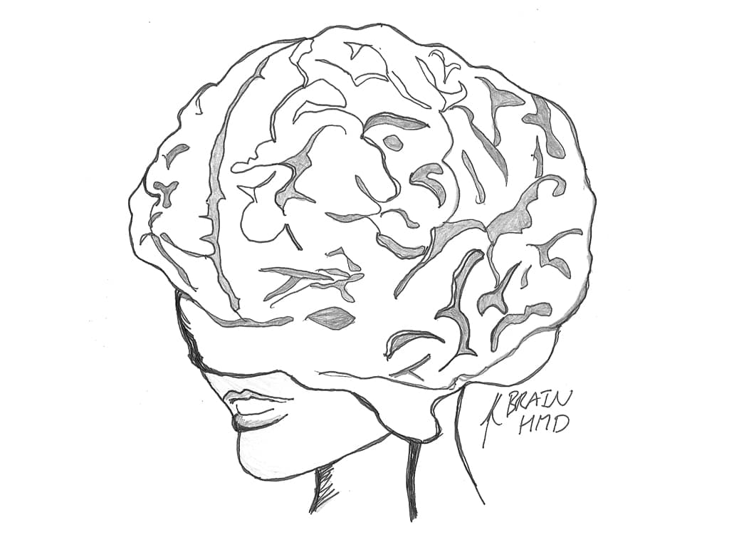 Labyrinth Psychotica