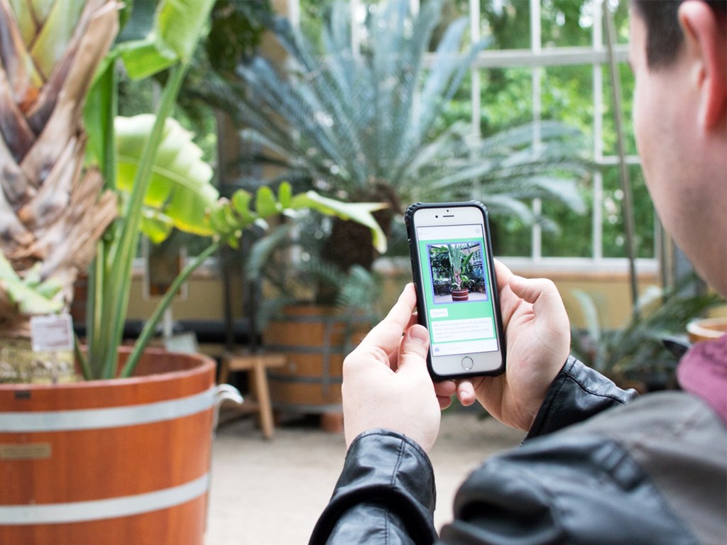 Hortus Chat app