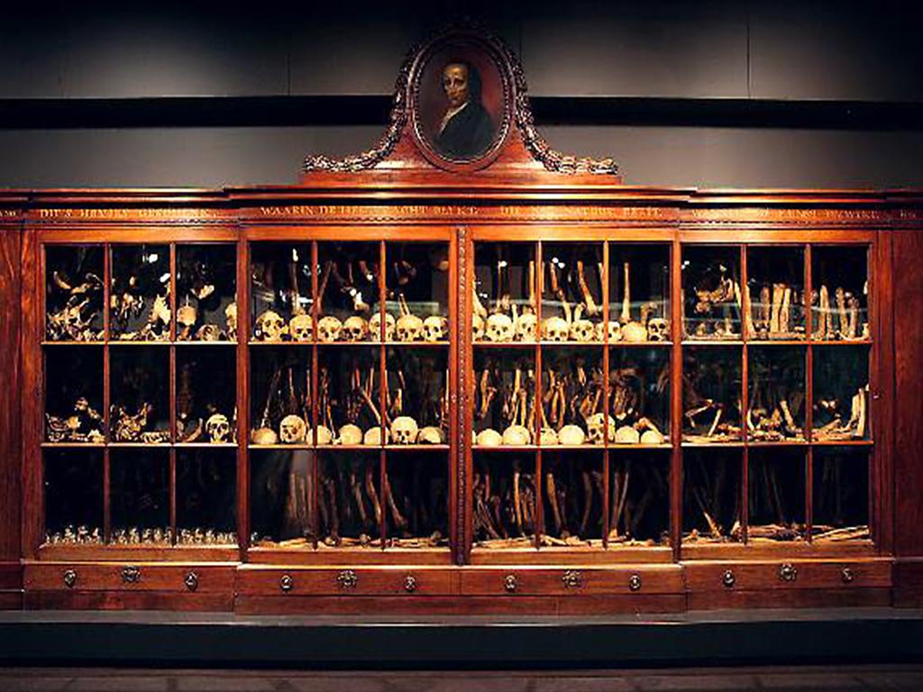 Morbid Anatomy Museum