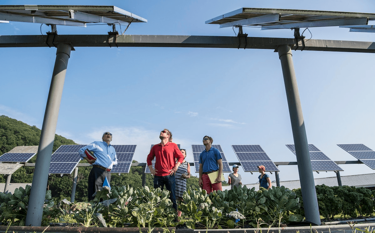 Mensen staan tussen zonnepanelen.