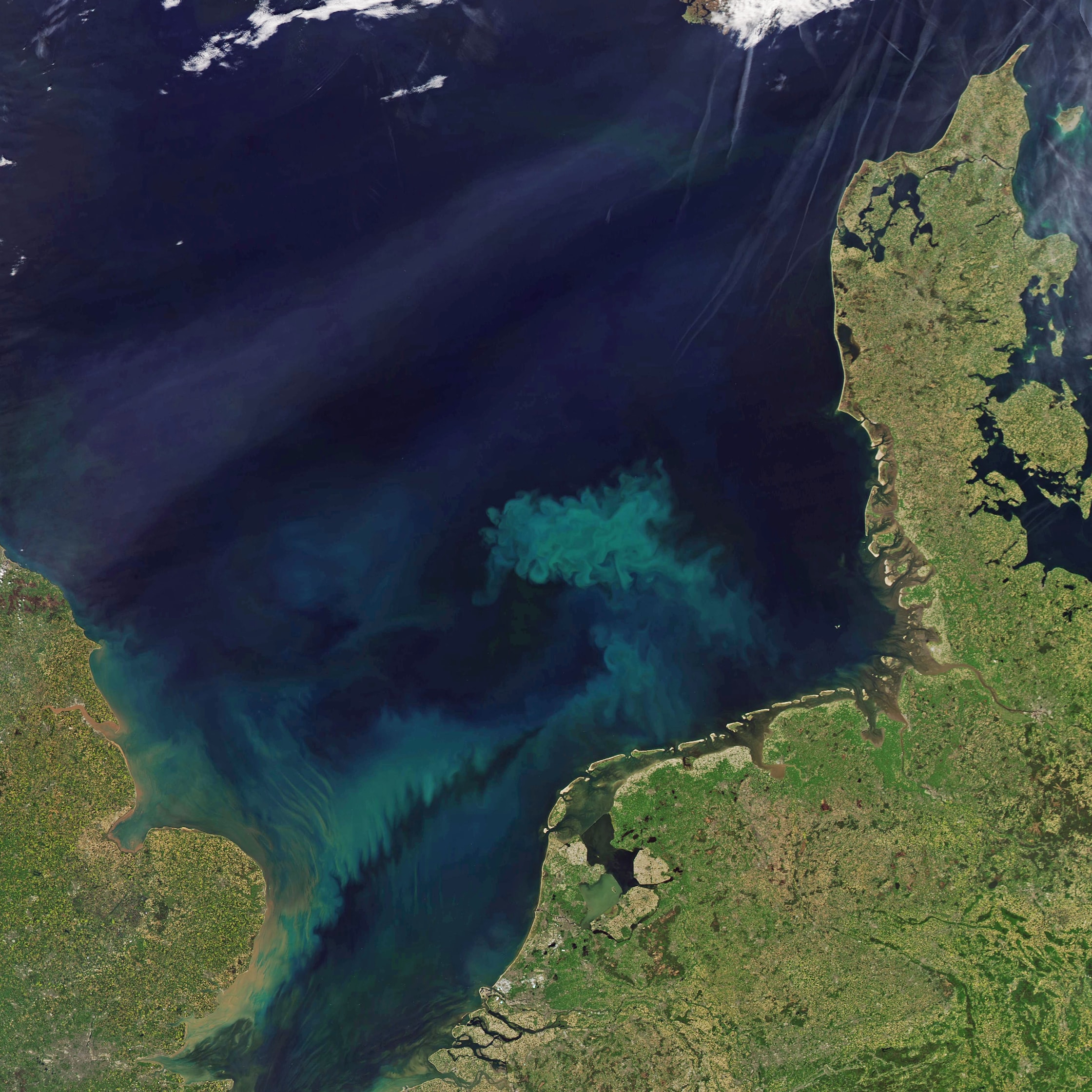 Planktonbloei in Noordzee