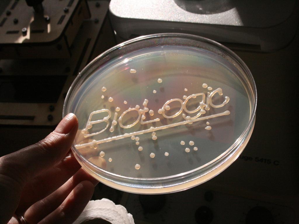 Bio-Logic workshop printed plate