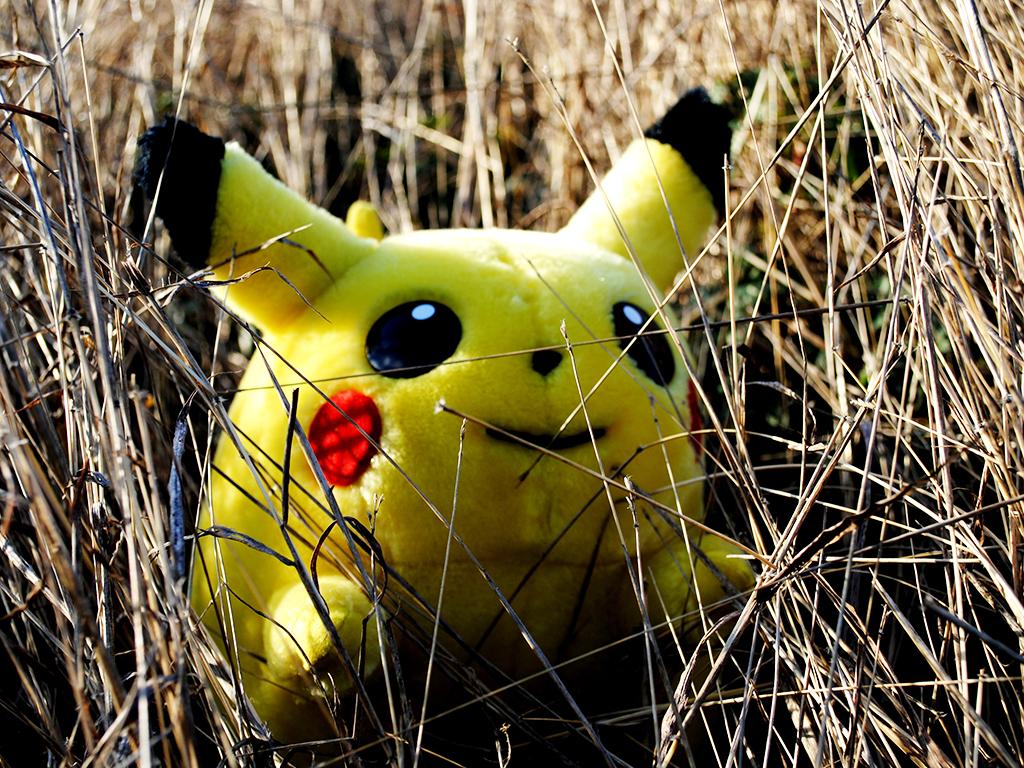 Pokemon Yellow: Pikachu appears