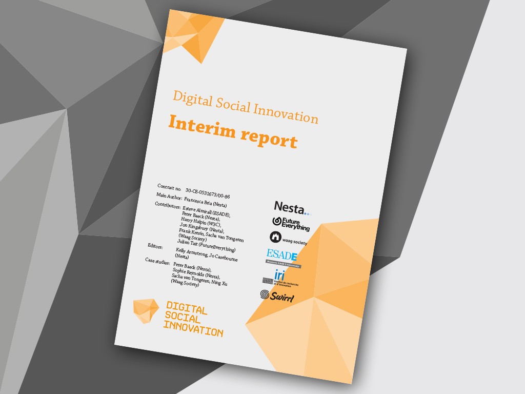 DSI interim report cover