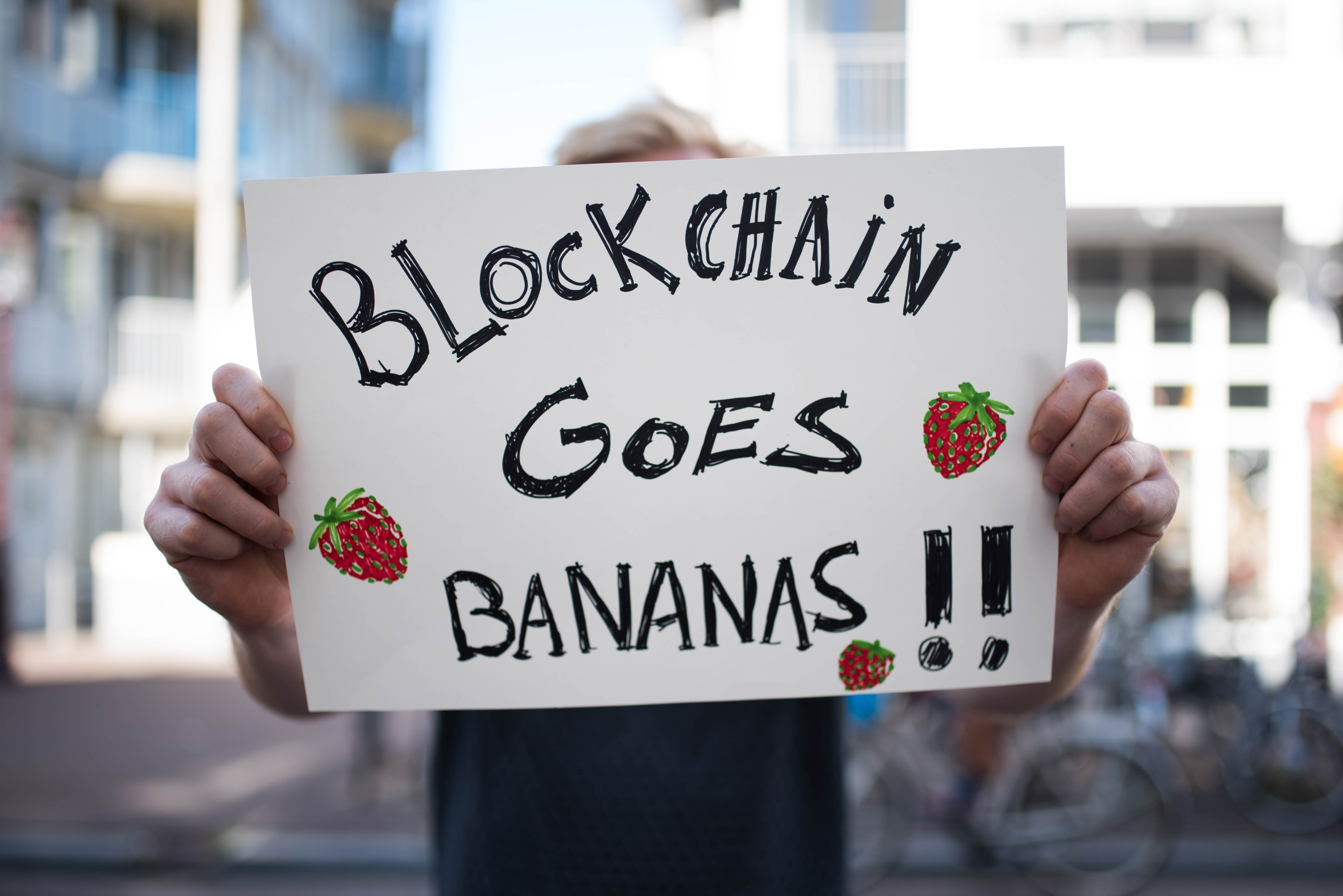 DSI protest sign blockchain