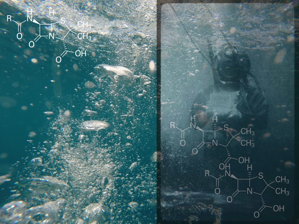 aqua_forensic_robertina_sebjanic_gjino_sutic