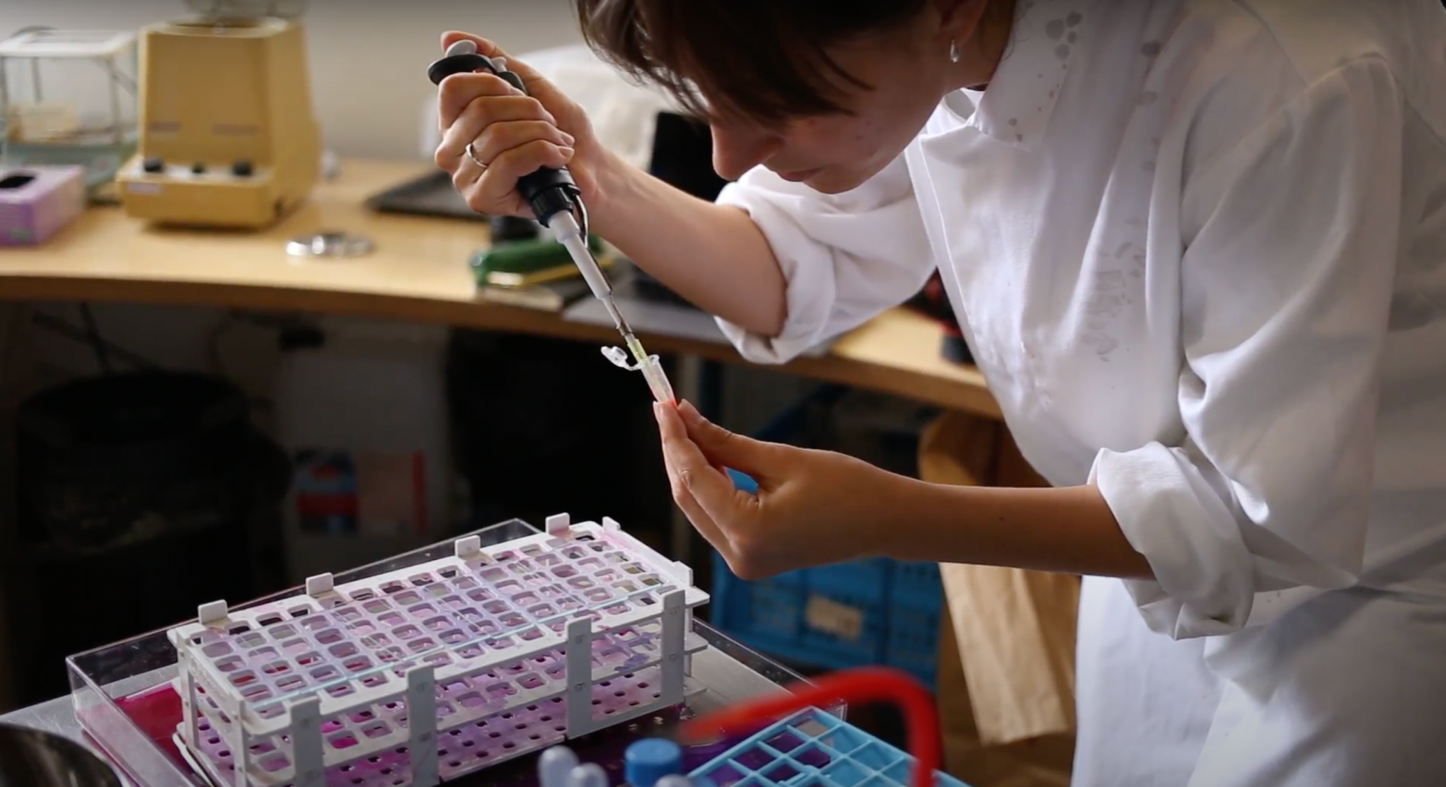 Margherita Soldati, Evolving Sensitivities, Open Wetlab by Anne Lakeman
