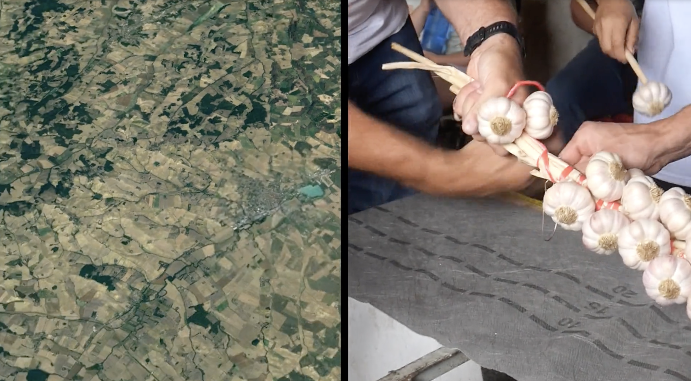 Terroir that Travels - More-than-Planet