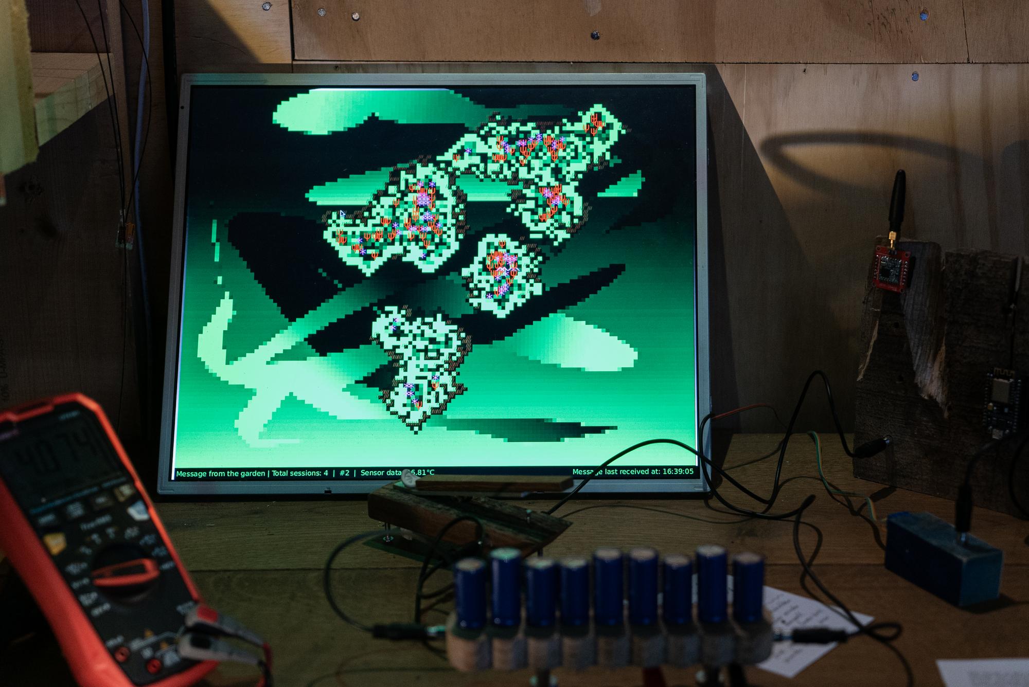 Electric Garden, Sunjoo Lee