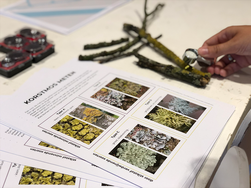 Een workshop over het aflezen van korstmossen als indicator voor luchtkwaliteit.