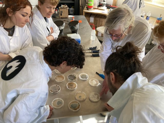 biohack academy