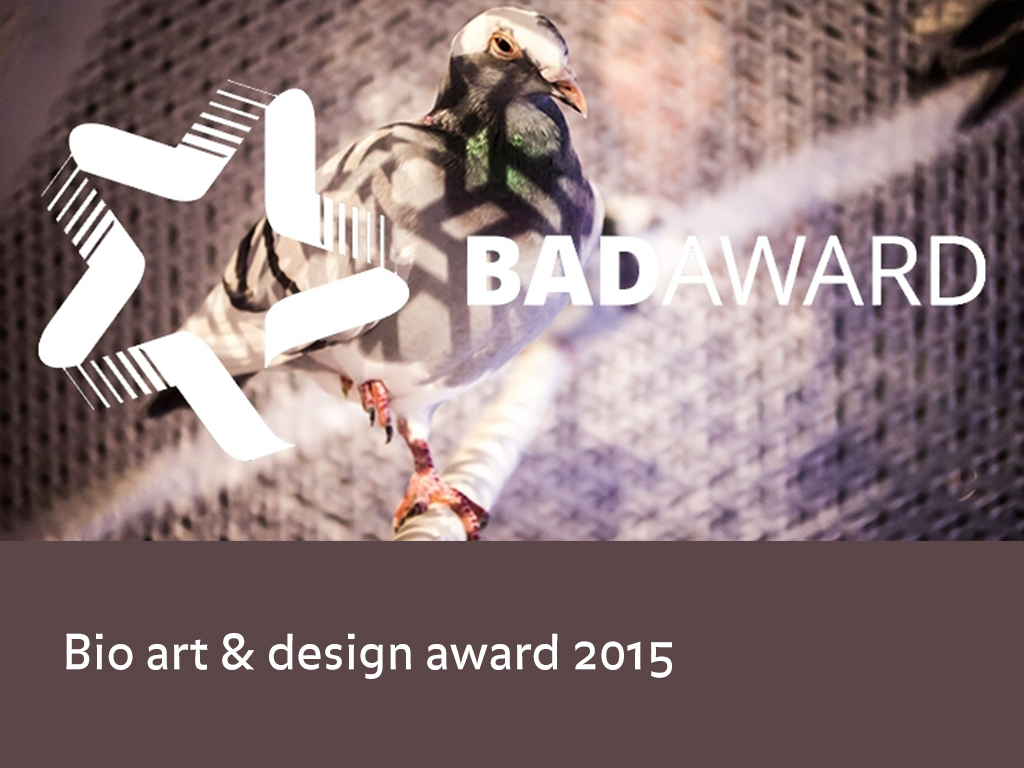 BAD Award 2015