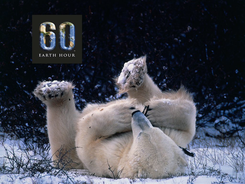Earth Hour 2015 Earth Hour 2015