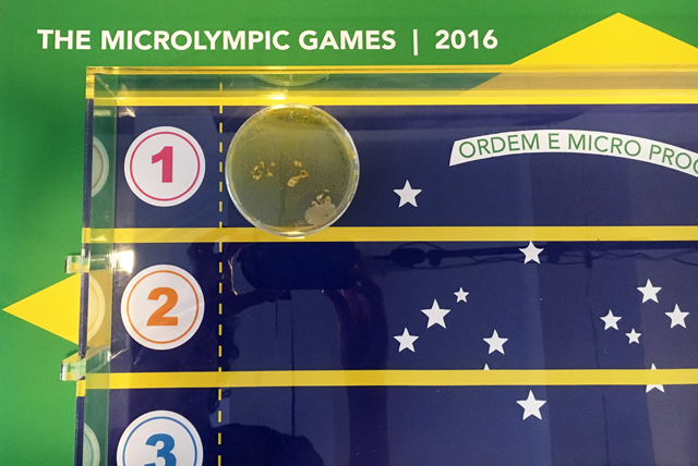 Microlympic games 2016