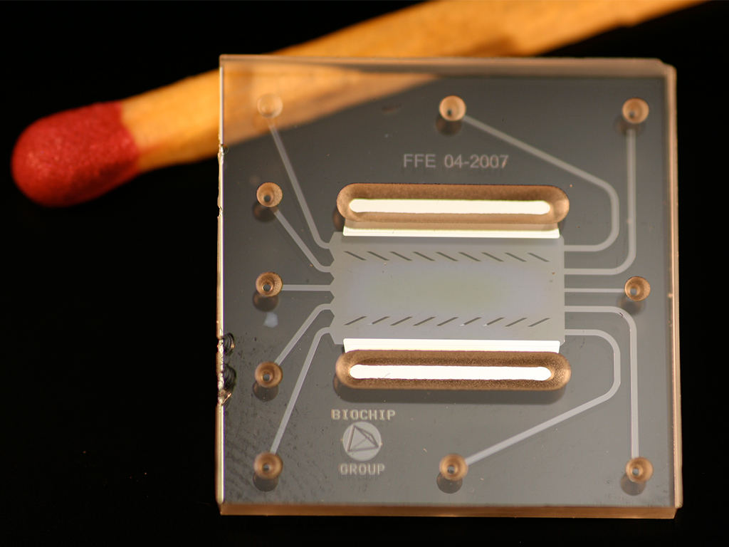 Microfluidic Chip Microfluidic Chip