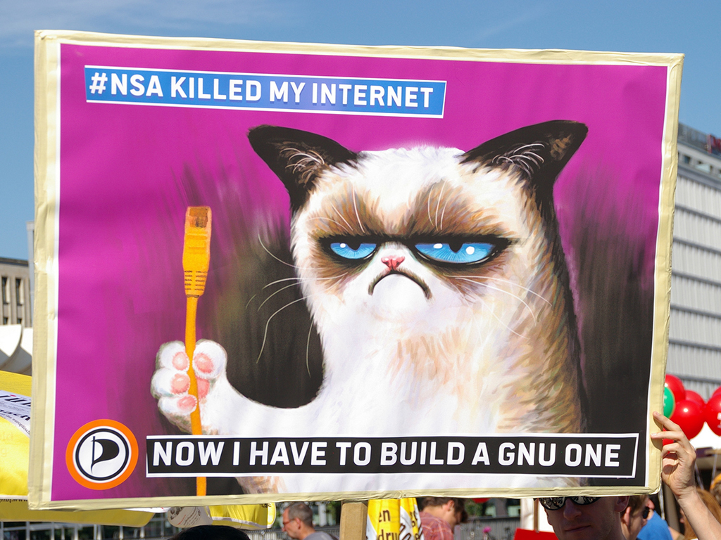 Grumpy Cat builds a GNU Internet