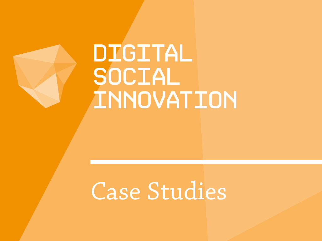 DSI Interim report - Case Studies