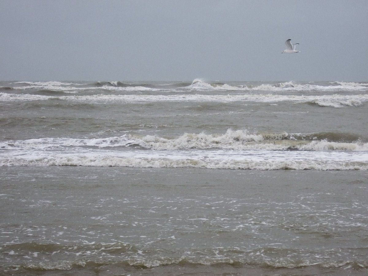 Noordzee - RCE CC3.0 Bert van As