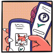 Verificatie via digital wallet