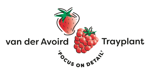 logo Trayplant
